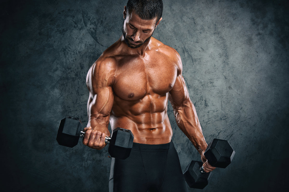 How Supplements Increase Muscle Mass