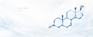 Increase Testosterone
