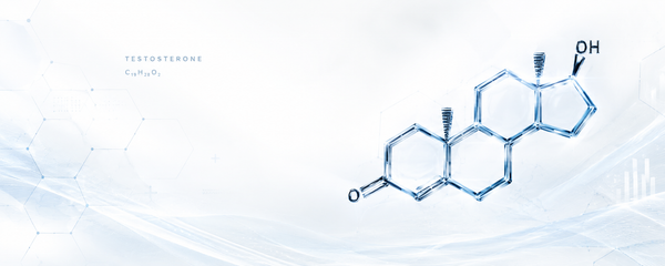 Increase Testosterone